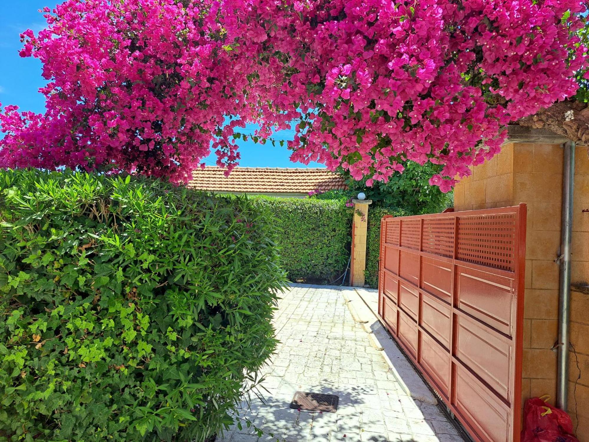 Holiday Home Orfanos Armenoí 외부 사진